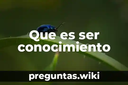 Que es ser conocimiento