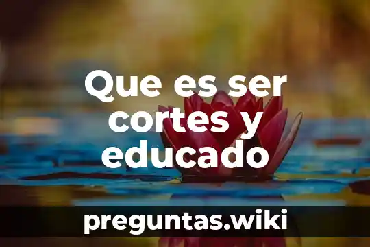 Que es ser cortes y educado