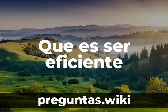 Que es ser eficiente