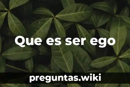Que es ser ego