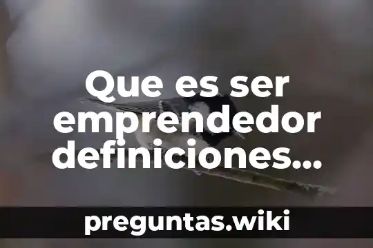 Que es ser emprendedor definiciones ibro