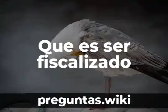 Que es ser fiscalizado