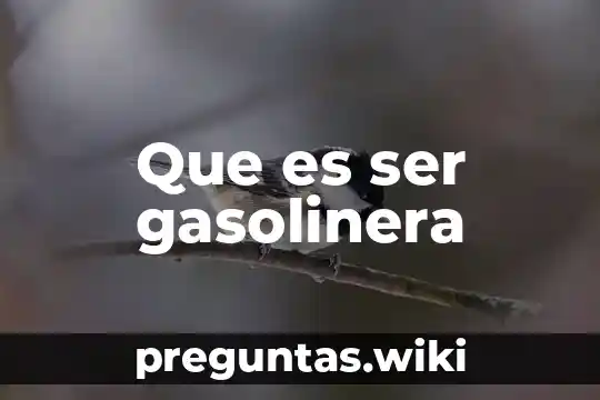 Que es ser gasolinera