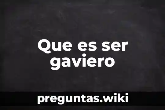Que es ser gaviero