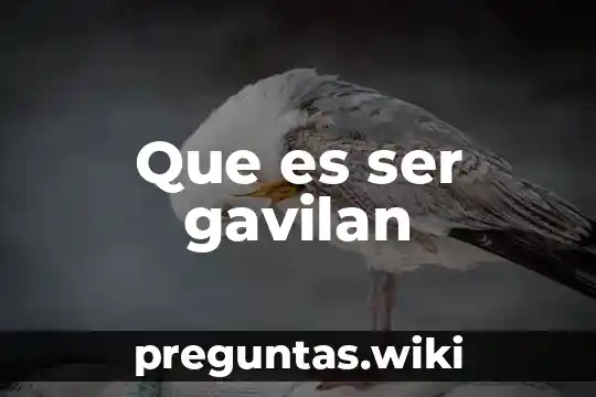 Que es ser gavilan