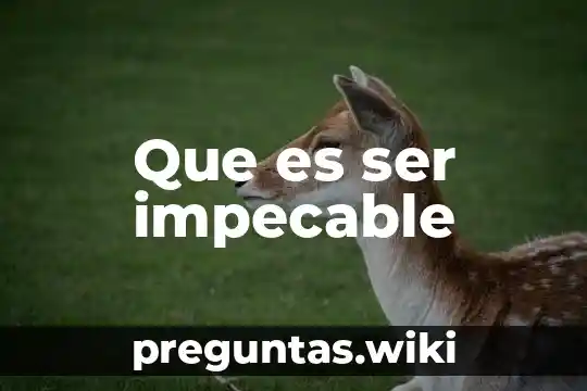 Que es ser impecable