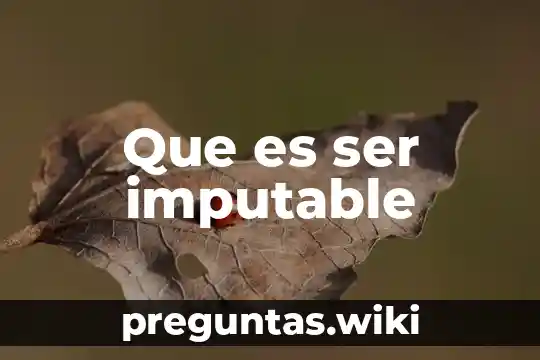 Que es ser imputable