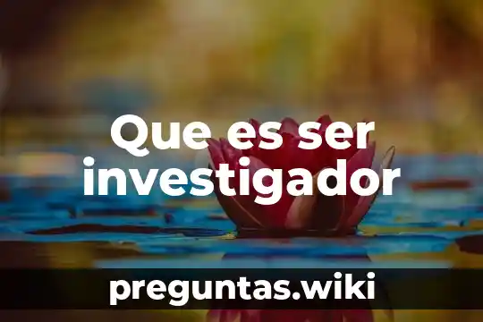 Que es ser investigador
