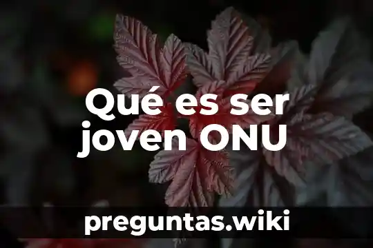 Qué es ser joven ONU