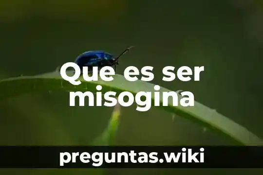 Que es ser misogina