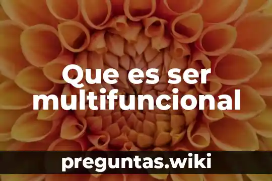 Que es ser multifuncional