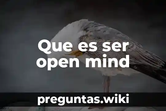 Que es ser open mind