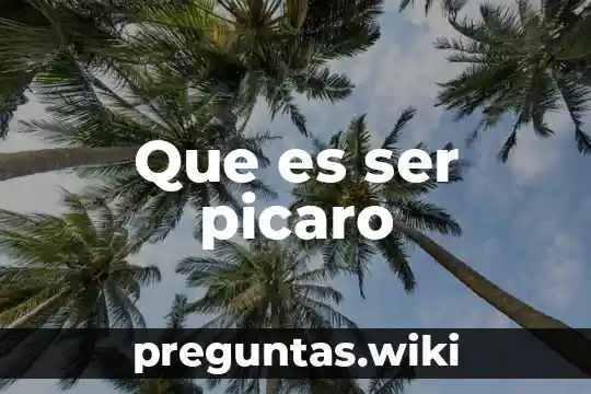 Que es ser picaro