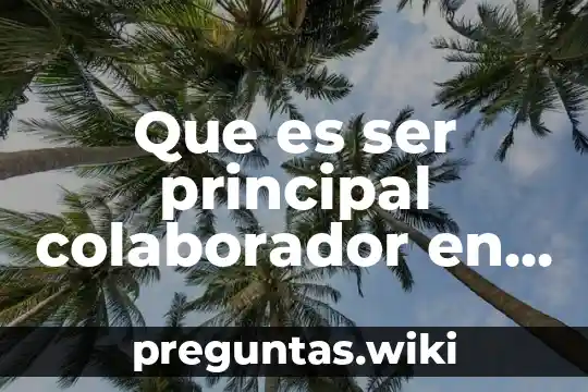 Que es ser principal colaborador en una pagina de facebook