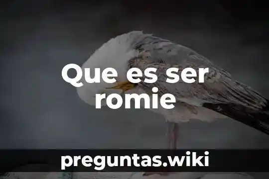 Que es ser romie