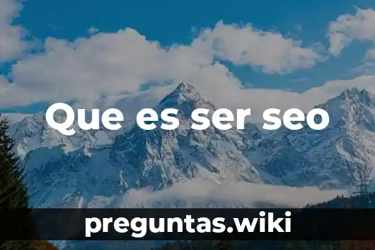 Que es ser seo