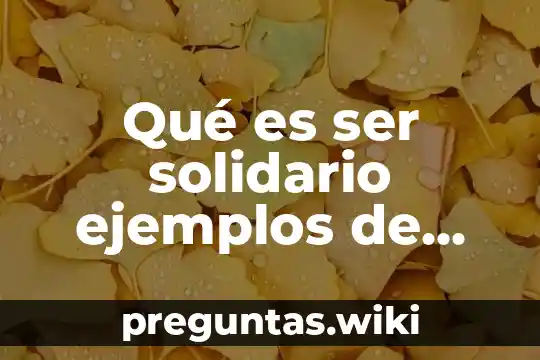 Qué es ser solidario ejemplos de solidaridad