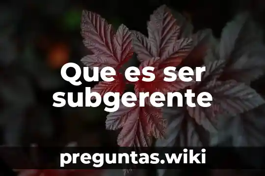 Que es ser subgerente