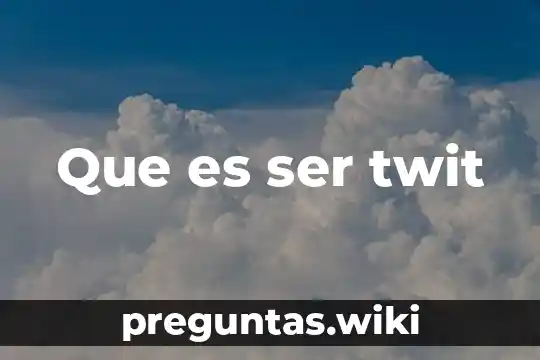 Que es ser twit
