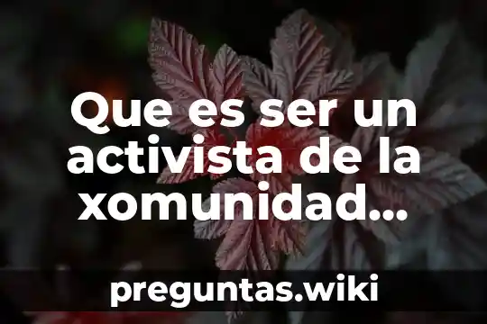 Que es ser un activista de la xomunidad lgbt