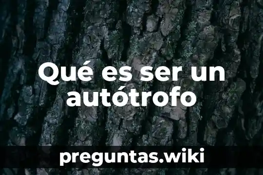 Qué es ser un autótrofo