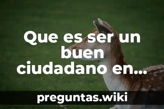Que es ser un buen ciudadano en una democracia