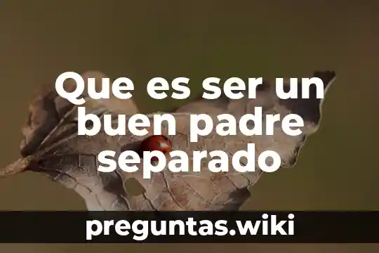 Que es ser un buen padre separado