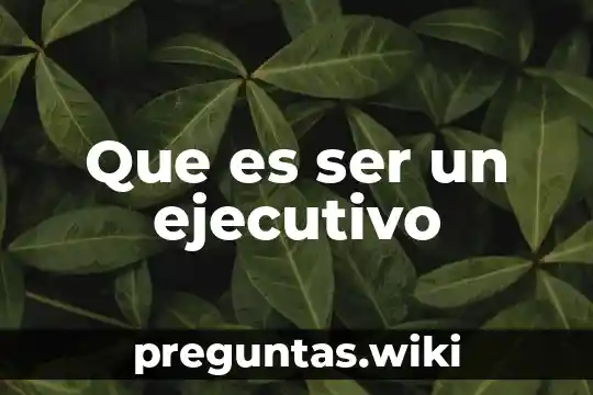 Que es ser un ejecutivo