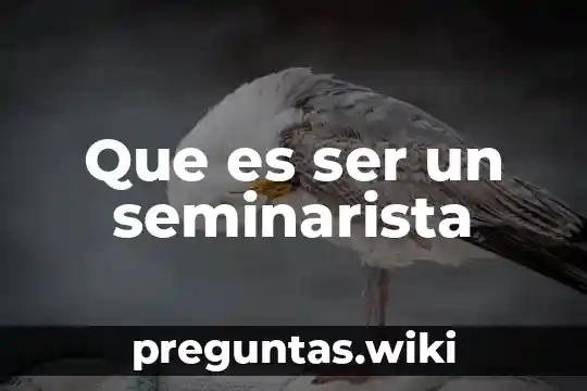 Que es ser un seminarista