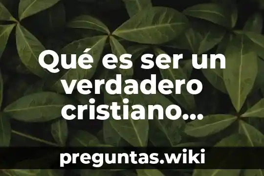 Qué es ser un verdadero cristiano católico según el Papa Francisco