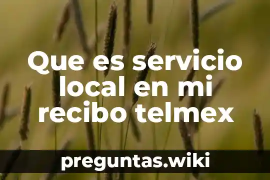 Que es servicio local en mi recibo telmex