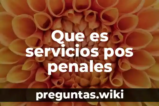 Que es servicios pos penales