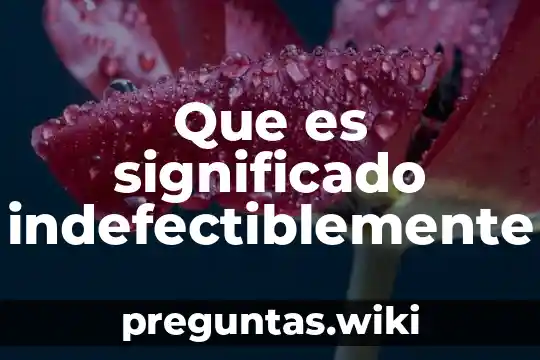 Que es significado indefectiblemente