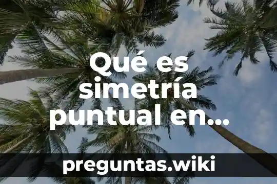 Qué es simetría puntual en matemáticas