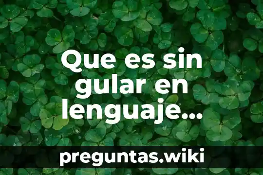 Que es sin gular en lenguaje ejemplo