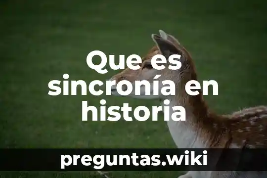 Que es sincronía en historia