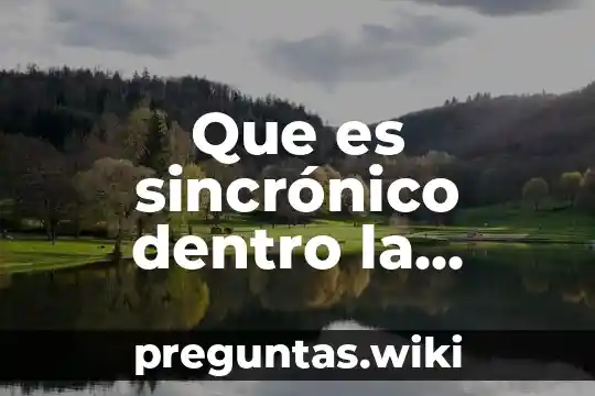 Que es sincrónico dentro la historia