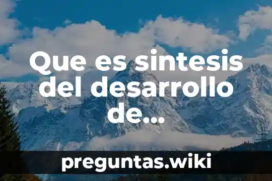 Que es sintesis del desarrollo de programacion