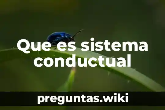 Que es sistema conductual