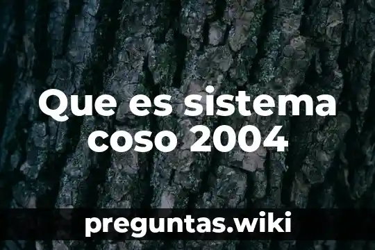 Que es sistema coso 2004