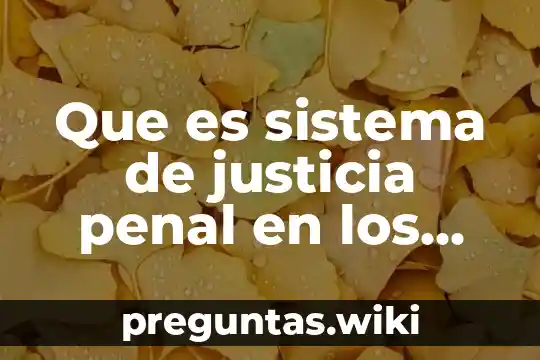 Que es sistema de justicia penal en los municipios