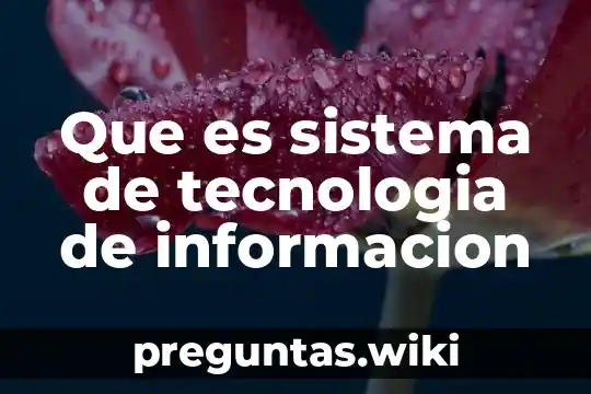 Que es sistema de tecnologia de informacion