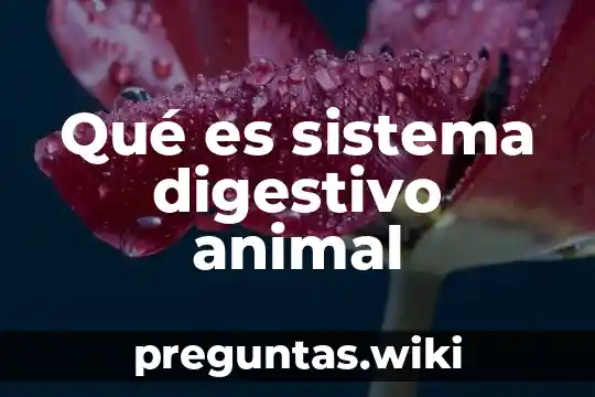 Qué es sistema digestivo animal