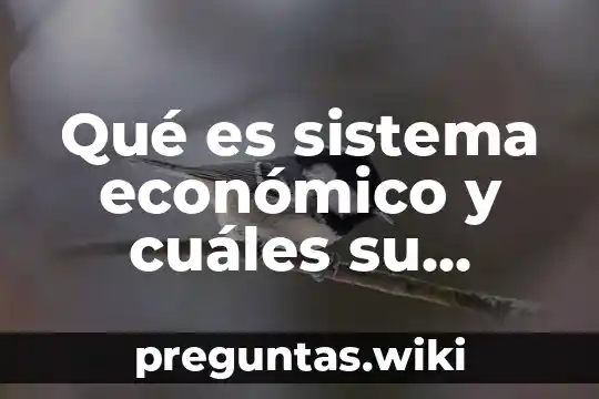 Qué es sistema económico y cuáles su estructura