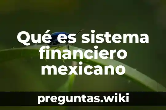Qué es sistema financiero mexicano