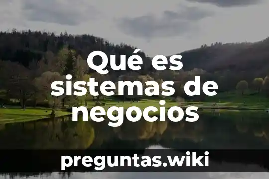 Qué es sistemas de negocios