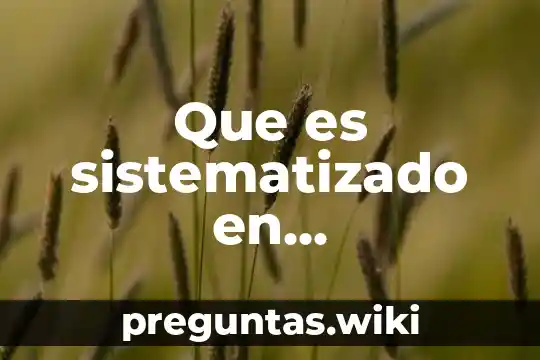 Que es sistematizado en matemáticas