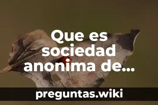 Que es sociedad anonima de capital variable y sociedad anonima