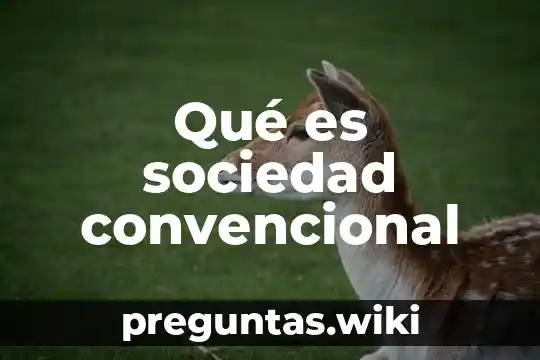 Qué es sociedad convencional