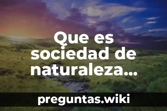 Que es sociedad de naturaleza mixta